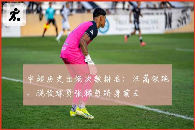 中超历史出场次数排名：汪嵩领跑，现役球员张稀哲跻身前五