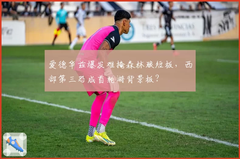 爱德华兹爆发难掩森林狼短板，西部第三恐成首轮游背景板？