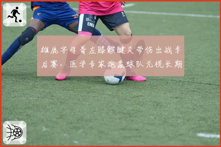 雄鹿字母哥左膝髌腱炎带伤出战季后赛，医学专家炮轰球队无视长期风险