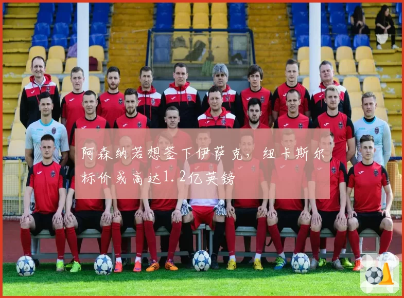 阿森纳若想签下伊萨克，纽卡斯尔标价或高达1.2亿英镑